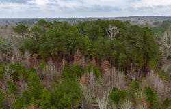 6052 Blocker Road, Marshall, TX 75672