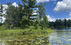 1743 W 68th Street, Baldwin, MI 49304