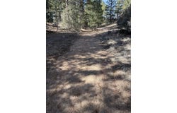 262 Harmon Dr, Texas Creek, CO 81223