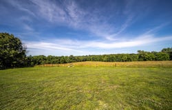 Cleveland Road, Houston, MO 65483