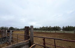 7660 Hayes Rd, Hemingford, NE 69348