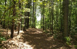 OLD BALTIMORE Rd, Parrish, AL 35580