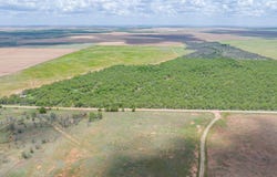 CR 260, Anson, TX 79501