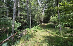 Route 209, Wawarsing, NY 12489