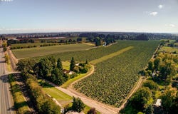 13750 SE LOCKS LOOP Rd, Dayton, OR 97114