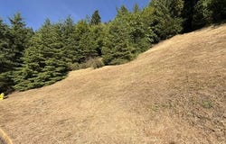 Kalapuya Way, CottageGrove, OR 97424