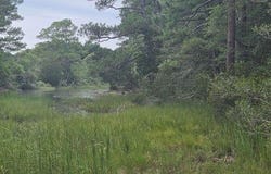 OLD NECK RD lot: 1, EXMORE, VA 23350