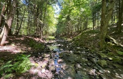 Minor Street Rd, Canton, NY 13617