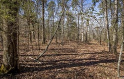 Whipporwill Lane, Choctaw, AR 72031