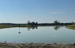768 County Road 2220, Talco, TX 75487