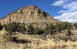 Road 41, Mancos, CO 81328