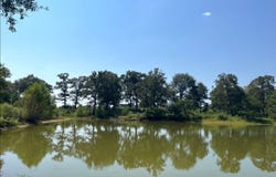 3196 Raborn Rd, Magnolia, MS 39652