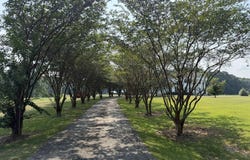 396 HOLLEY MILL ROAD, ECLECTIC, AL 36024