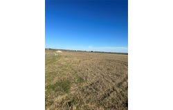 400 County Rd 167, Georgetown, TX 78626