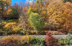 Orr Ave, Apollo, PA 15613
