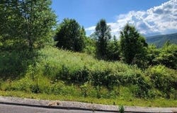 Hardin Road 74, Dunlap, TN 37327