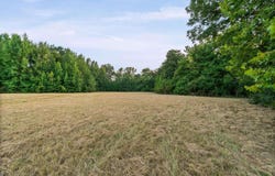 Highway 36, Mt. Vernon, AR 72111