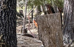 0 Platt Mountain Road, Forest Ranch, CA 95942