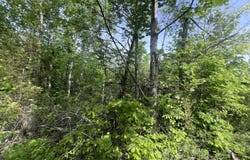 Big Hollow Rd, Monroe, TN 38573
