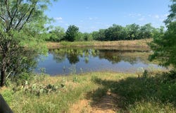 573 County Road 412, Carbon, TX 76435