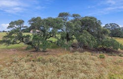 2561 Roitsch Rd, Schulenburg, TX 78956