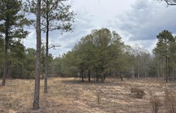 745 Wright Allen Road, Blythe, GA 30805