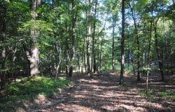 249 N Ridge Drive, LaFayette, GA 30728
