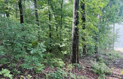 1864 Laura Drive, Southside, AL 35907