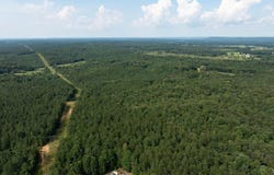 Wilkerson Road, Fayette, AL 35555