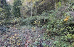 142 Fishtrap Rd, Shelbiana, KY 41562