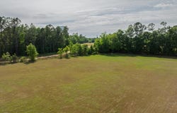 565 State Rd S-6-459, Blackville, SC 29817