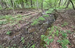 Flat Iron Road, Hunt, NY 14846