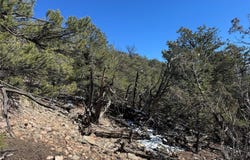 1214 Kevin Drive, Cotopaxi, CO 81223