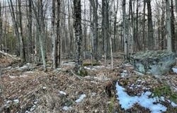 105 Clubhouse Drive, Greentown, PA 18426