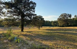 2380 WATKINS Dr, Williston, TN 38076