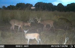 0 Dunlap Rd, Smithland, KY 42081