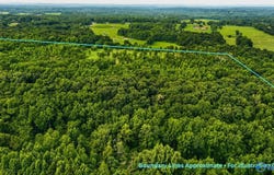 58 Acres Naples Lane, Arab, AL 35016