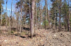 TBD Black Creek Road, Skanee, MI 49962