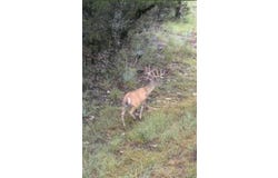 Park Rd, Lampasas, TX 76550