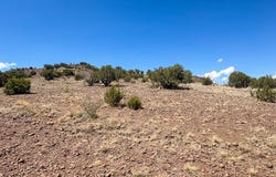 Hill Drive, Alpine, TX 79830