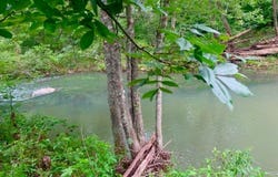 1602 Turkey Creek Road, Mountain View, AR 72560
