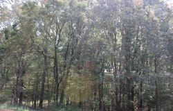 9 Hickory Hollow Road, Hernando, MS 38632