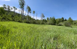 RODEO Road, Jackson, WY 83001