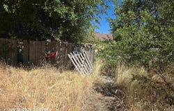 12415 Mt. Pitt Rd, Macdoel, CA 96058