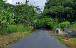Florencio, Fajardo, PR 00738
