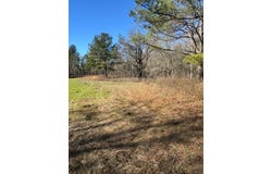 CR 6650, BRUNDIDGE, AL 36010