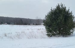 Alden Meadows lot: 44, Alden, MI 49612