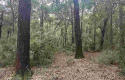 0002 Blk Mcinnis St, Milton, FL 32583