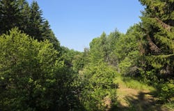 871 Estabrook Road, Amity, ME 04471