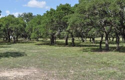 18043 FM 479, Harper, TX 78631